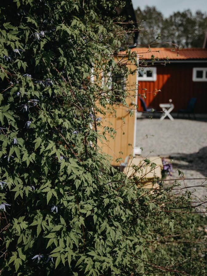 En Lantlig Idyll Med Skogen Precis Utanfoer Doerren! Villa Ullared Luaran gambar